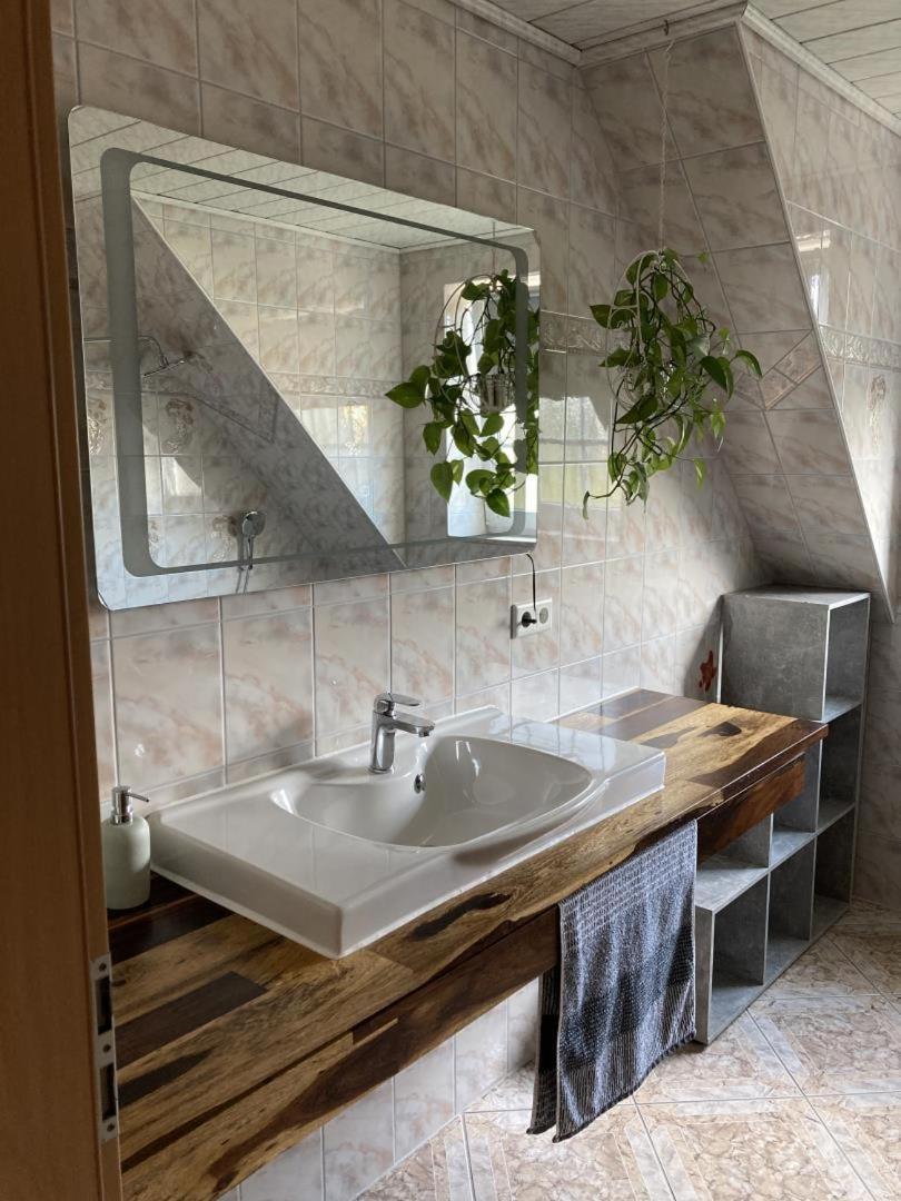 Neu Ferienwohnung Hofmann Husum  Exteriér fotografie